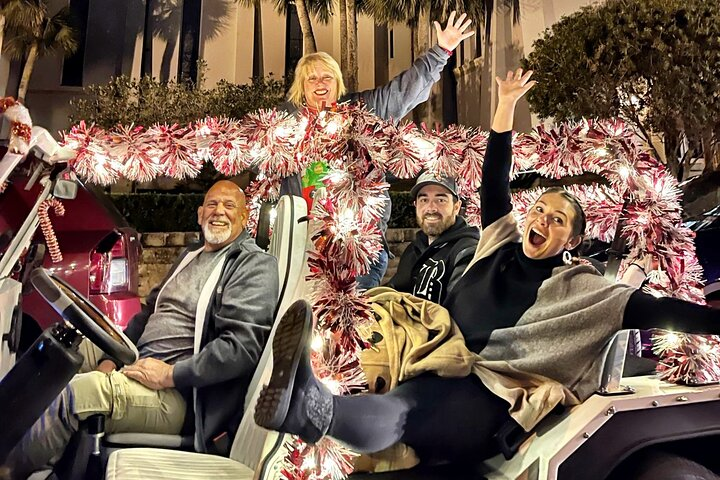 Nights of Lights - Private Christmas Car Photo Tour 1-4 people - Photo 1 of 9